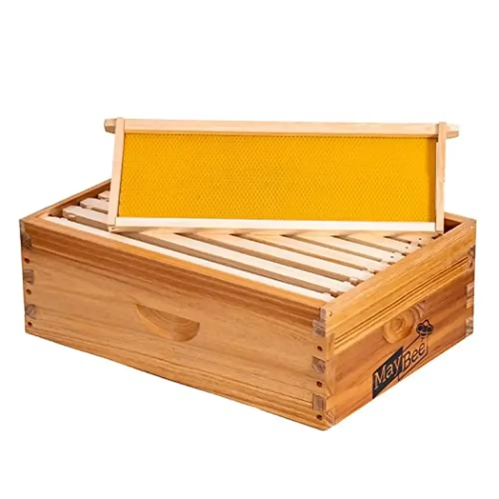 Wooden Frames New Zealand Pine Beehive Box Medium Super Langstroth Hive Includes Wax Coated Dovetail Joints Honey Colored