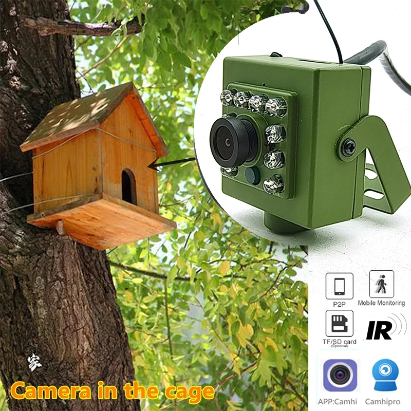 

Camhi Green Wifi Bird Box Cam 2MP 5MP IMX335 IMX307 HD Audio Video 940nm IR Night Vision Wireless Birdhouse IP Camera RTSP Kits