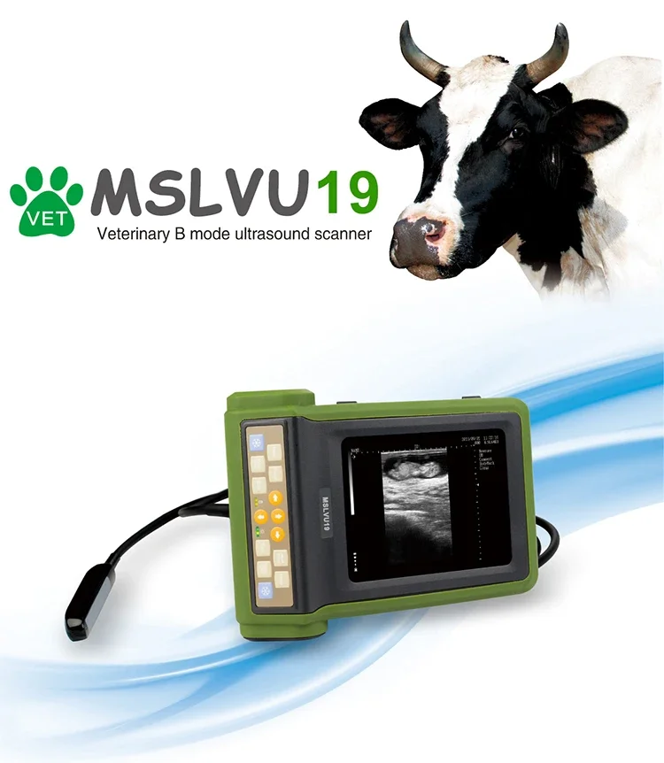 mini Portable Veterinary Usb Ultrasound Probe vet Ultrasound scan machine For Animal Clinic Handheld Ultrasound Machine