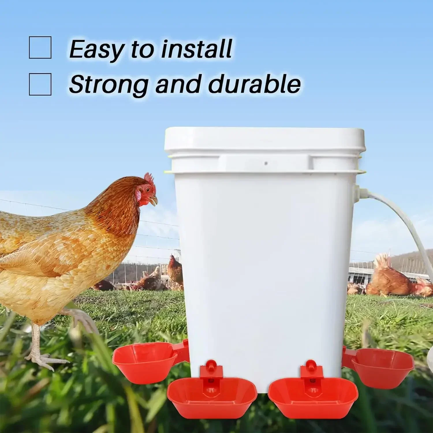 Large Automatic Poultry Drinker, Chicken Drinking Cup, Anti-Leakage System, Drinker for Chickens, Pigeons, Ducks, Geese, Turkeys