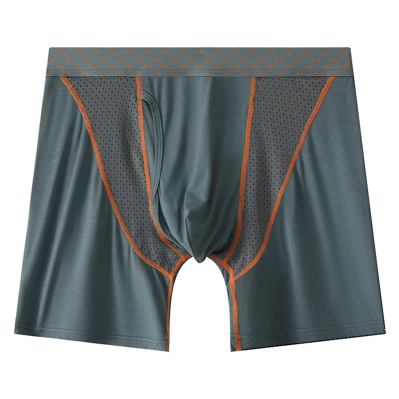 

Men's Modal Boxers Mesh Transparent Breathable Loose Fit Sports Panties Sexy Mid-rise Bulge Pouch Quick Dry Long Legs Trunks