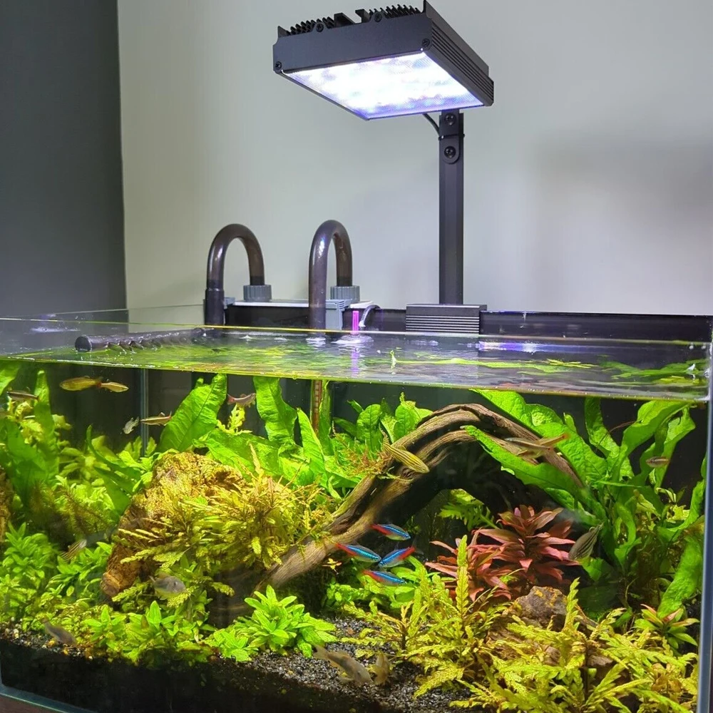 PopBloom-Freshwater LED Aquarium Lamp Dimmable Aquarium Aquatic Plants Lighting for Planted Fish Tank Light,Sunrise,Sunset