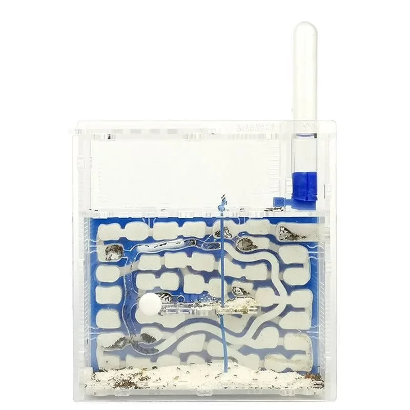 Ant castle farm workshop castle observation pet large workshop tribe ants