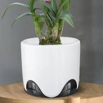 난초 화분 Dendrobium 장식 이중 레이어 컨테이너 루트 가이드 시스템, 책장 창용 식재 도구