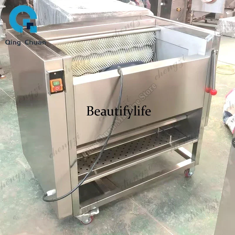 Potato Peeling Cleaning Machine Commercial Radish Brush Clean Machine Stainless Steel Carrot Washing Lotus Root Peel Machine