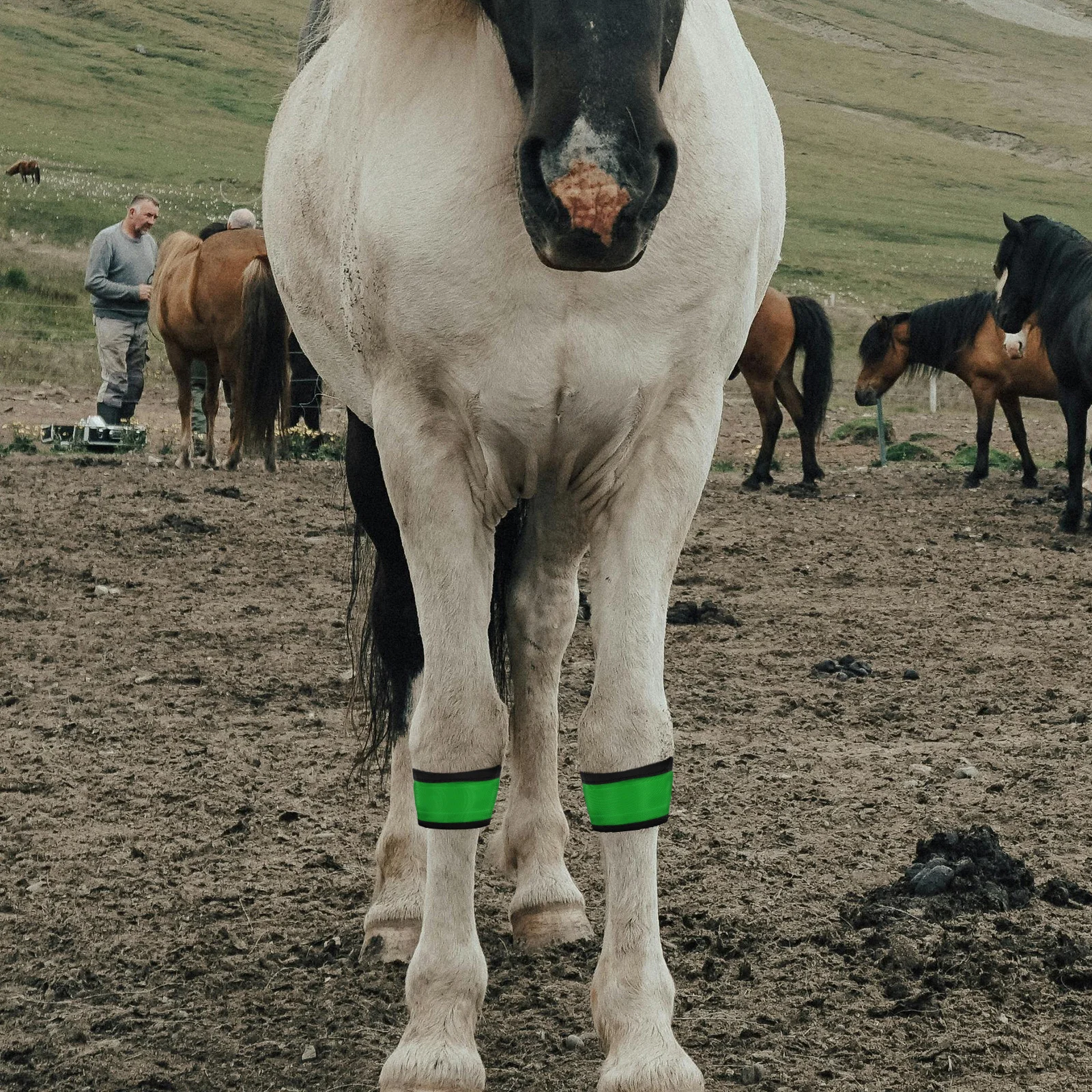 

4Pcs LED Horse Leg Band High Brightness Adjustable Night Riding Safety Straps Reflective Visibility Equestrian Gear