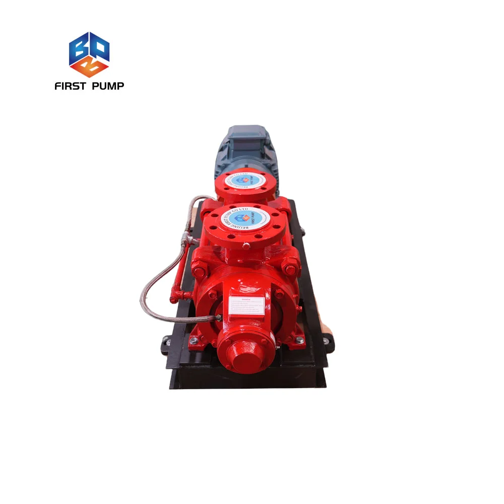 Horizontal Multistage End Suction Stainless Steel Impeller 316L High Flow Electric Motor 10 HP Water Pump