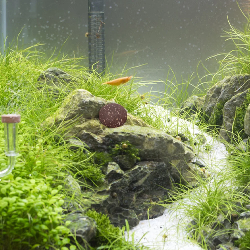 

10pcs Fish Tank Ornaments Coconuts Shell Decorations Round Natural Scenic Pieces For Diorama Craft Scenery Accessories Pet Decor