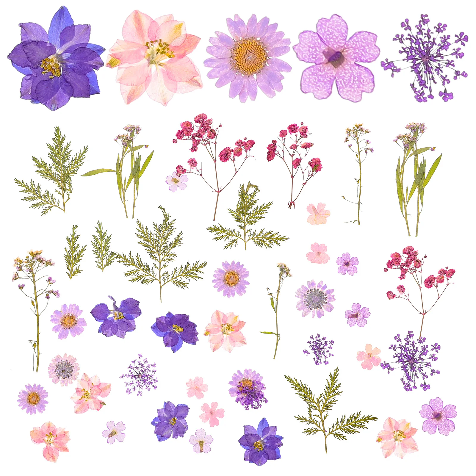 

27Pcs Dried Flower Kit Real Pressed Flower Patches for DIY Greeting Cards Photo Frames Resin Crafts Wedding Decor
