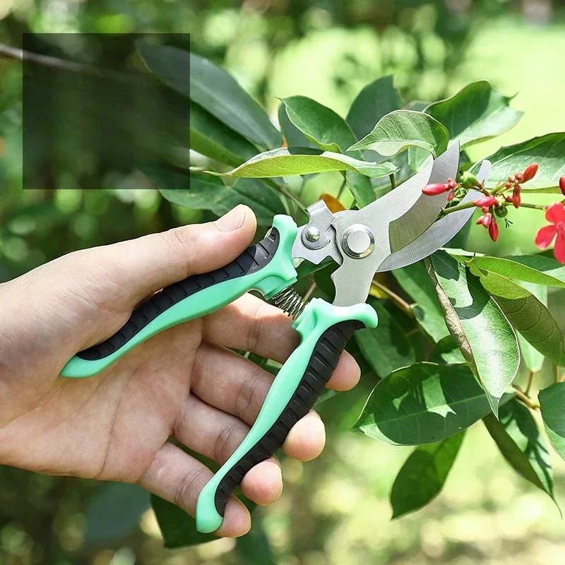 Garden Pruning Shears Set Stainless Steel Scissors Clippers Pruning Snips Shears Hand Tools for Flowers Leaves Potted 3 Pack