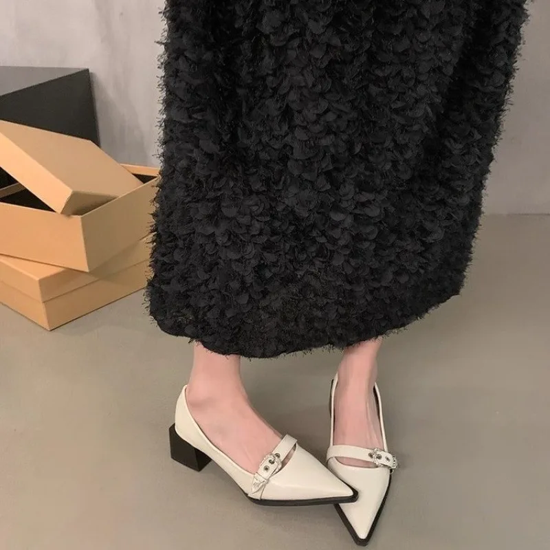 

2025 Summer Trend Women's Platform Shoes New Pointed Toe Shallow Cut Metal Belt Buckle Comfortable Mary Jane Women's Shoes