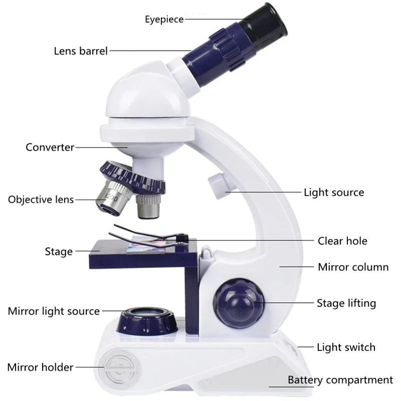 Scuola scienza istruzione microscopio LED microscopio biologico Kit sperimentale microscopio per bambini regalo squisito giocattolo per la casa