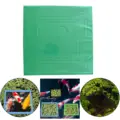 SquareGreen