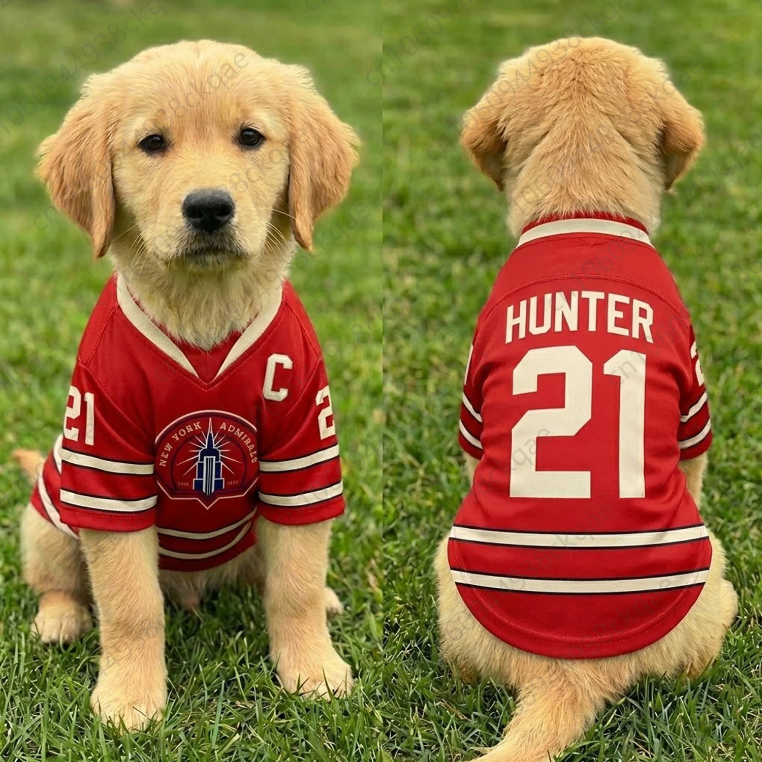 2026 HUNTER 21 Camiseta para Perro con Calefacción, Camiseta Deportiva para Mascotas, Chaleco de Hockey Boston Raiders, Disfraz para Cachorro y Gato, Conjunto a Juego, Regalo