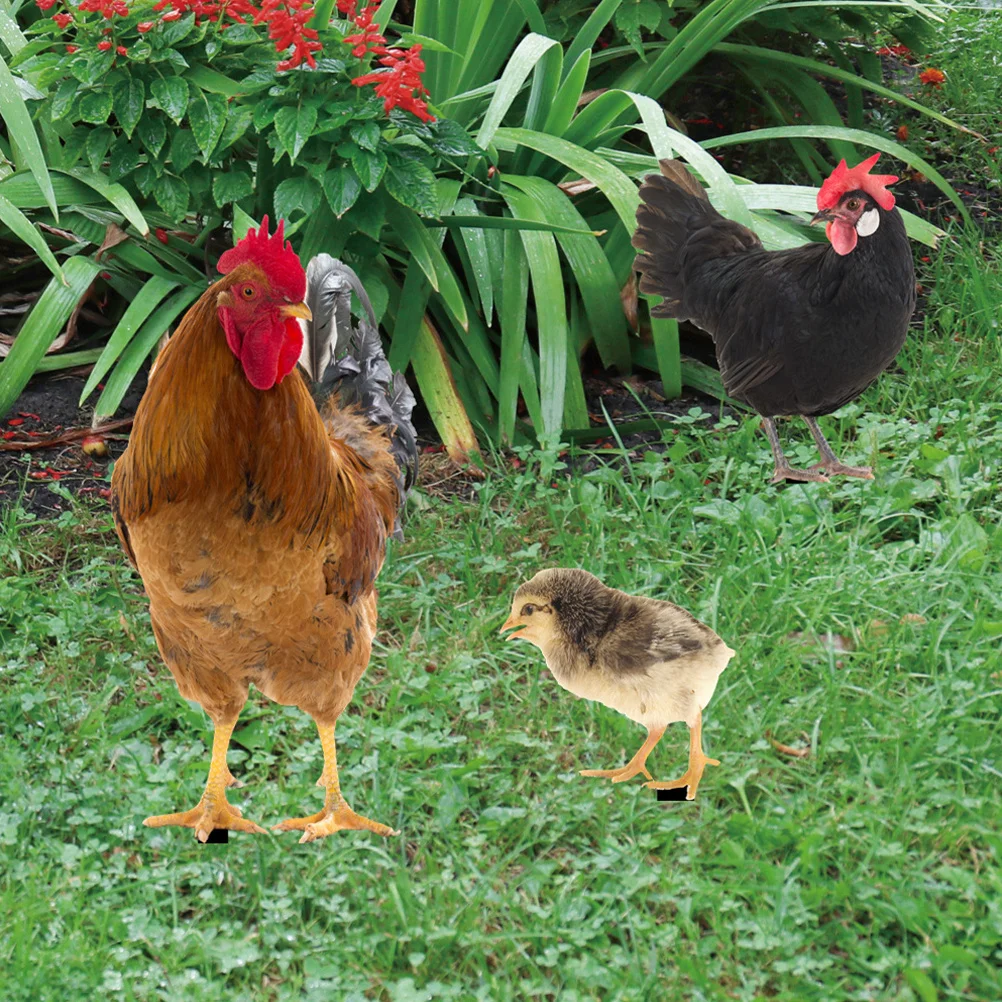 

1 Set Of Acrylic Lawn Rooster Sign Realistic Chicken Yard Stake Garden Decor Outdoor Adornment Backyard Ornament Decorative