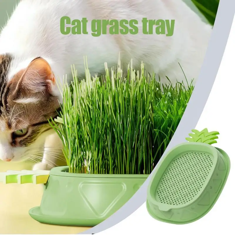 Cat Grass Planter For Indoor Cats Cat Grass Growing Tray Pineapple Design Plant Germination Tray Wheat Grass Growing Pot Nursery