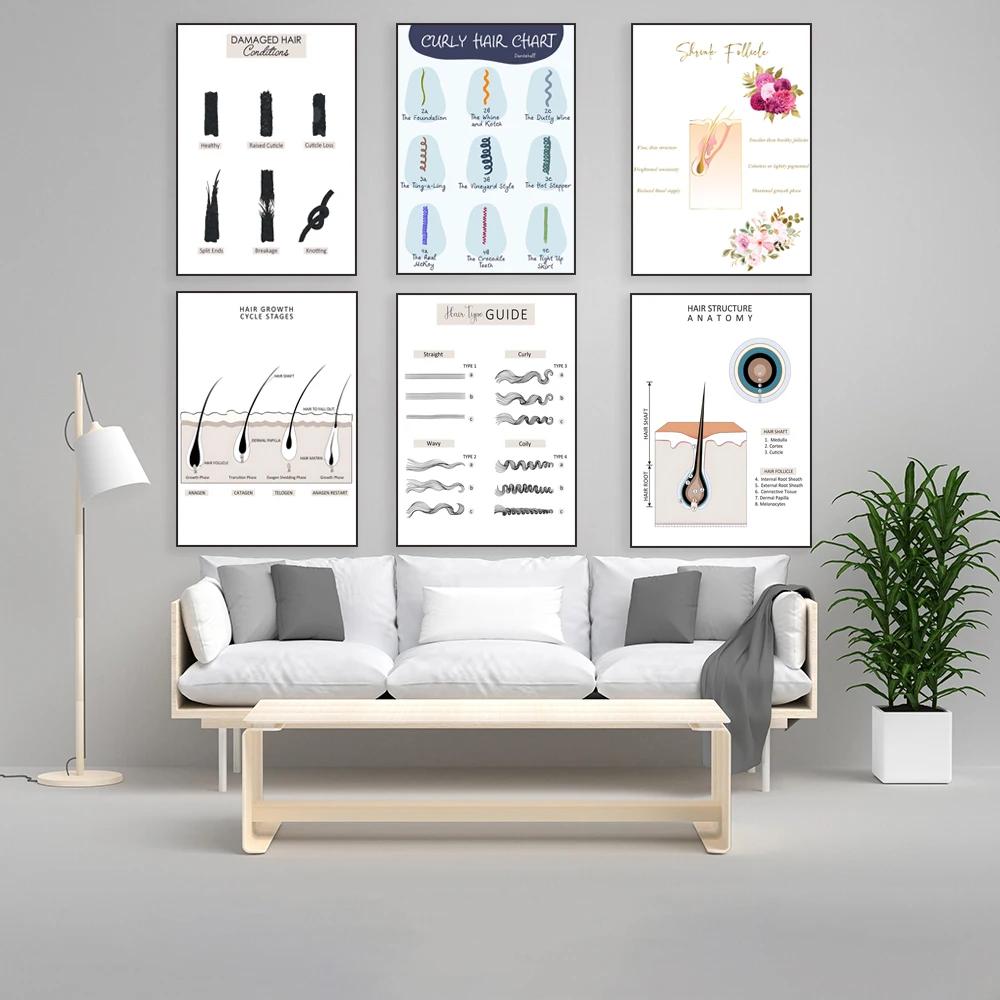 Damaged hair infographic, hair structure anatomy diagram, hair quality guide, hair growth cycle, curly hair chart poster print