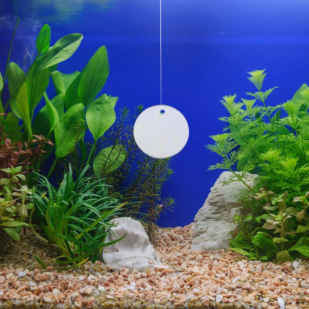 1pcs 6Cm Floating Exercise Mirror Double Sided Circle Ball For Tank Decorations Betta Fish Training Mirror Aquarium Floating