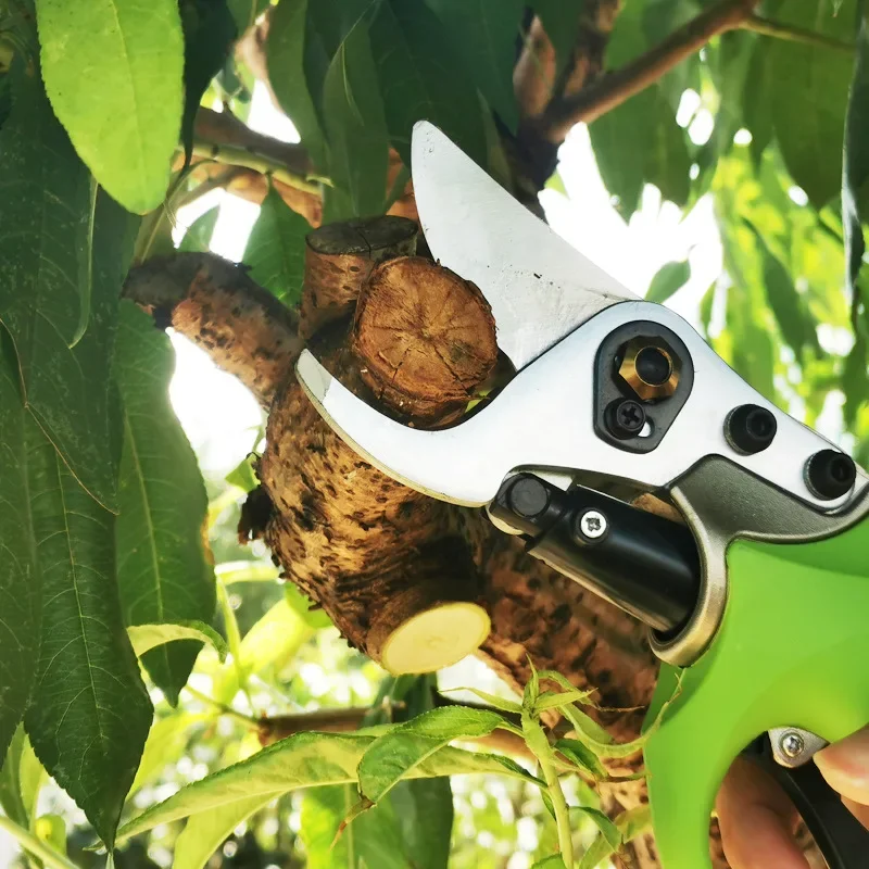 Electric Pruning Shears Garden Orchard Charging Scissors 40V Lithium Battery Scissors CSF401 Lithium Battery Scissors