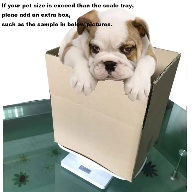 Practical Digital Pet Scale 1G-10Kg Measure High Accuracy for Toddler Puppy for Dropshipping