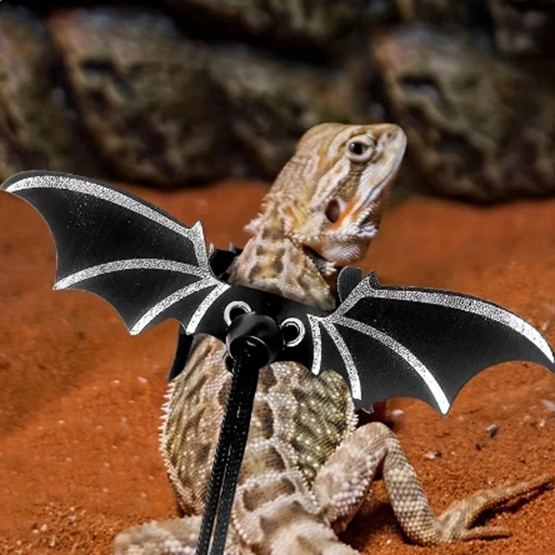 ชุดสายจูง Lizard Harness, สัตว์เลี้ยงปีนเขาออกไปสายรัดหน้าอกปีกหนัง, เชือกลากกระรอก