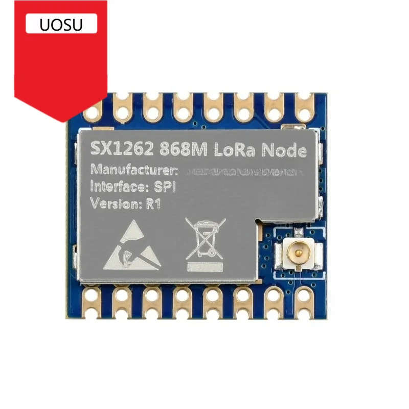 1Pcs Core1262 LF/HF LoRa Module, SX1262 chip, Long-Range, Anti-Interference,for Sub-GHz band for Raspberry Pi 5/4B/3B