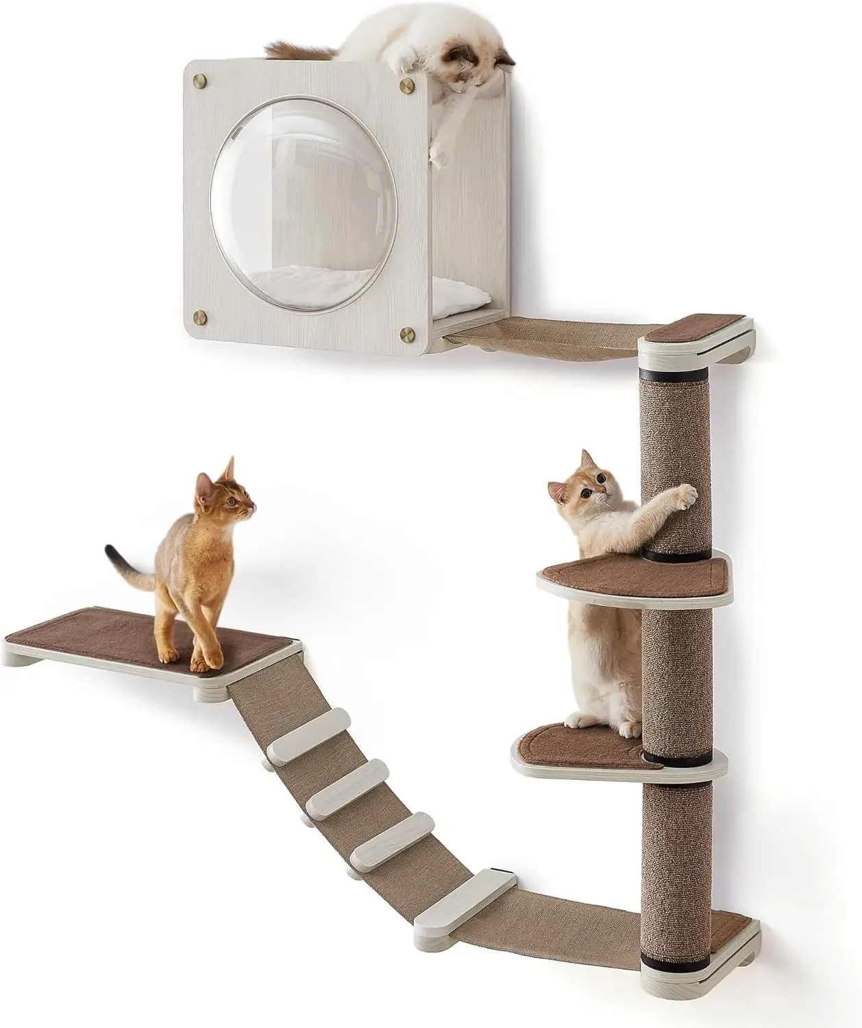 

Clickat Oasis Cat Wall Furniture Set of 5 Cat Wall Shelf Wall-Mounted Cat Hammock Scratching Post Cave Extremely Quick Assembly