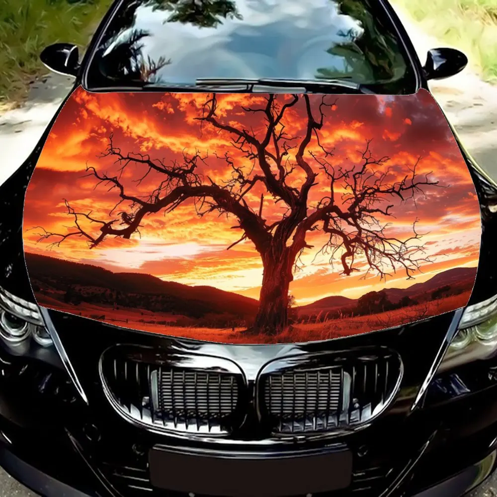 

Dry Tree; Sunset; Evening Glow; Scenery; Quiet;Artistic; Festive; Colorful; Gift;Car Hood Decal Sticker, Motorcycle and Truck De