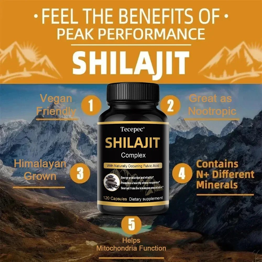 Shilajit Capsules, Endurance, Vitality, Brain Support, with Natural Fulvic Acid, 120 Capsules Dietary Supplement