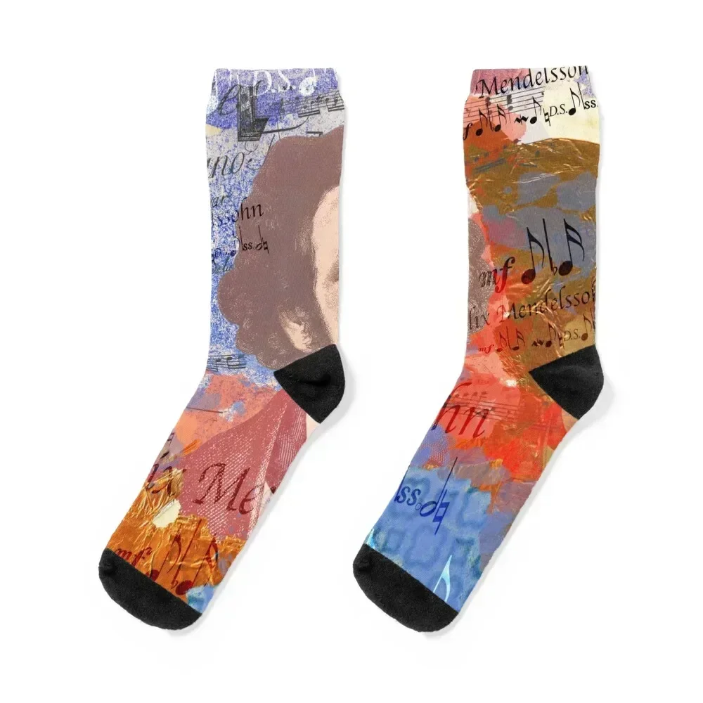 Felix Mendelssohn portrait, famous person, classical music Socks custom New year's Hiking boots Socks For Girls Men's