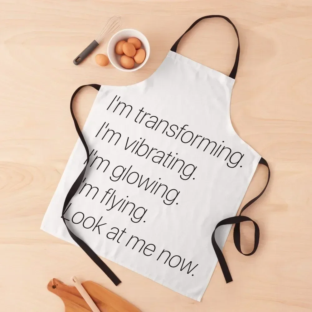 Jubilee Street Lyrics Apron Woman Work Household Items Useful japanese style Apron