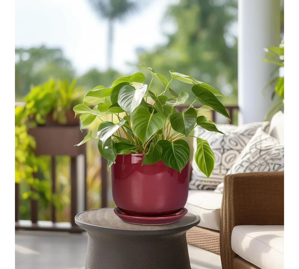 أصيص زهور سيراميك حديث مقاس 8 بوصة مع فتحة تصريف وصحن، حاوية نباتات داخلية وخارجية لديكور المنزل والأعشاب العصارية