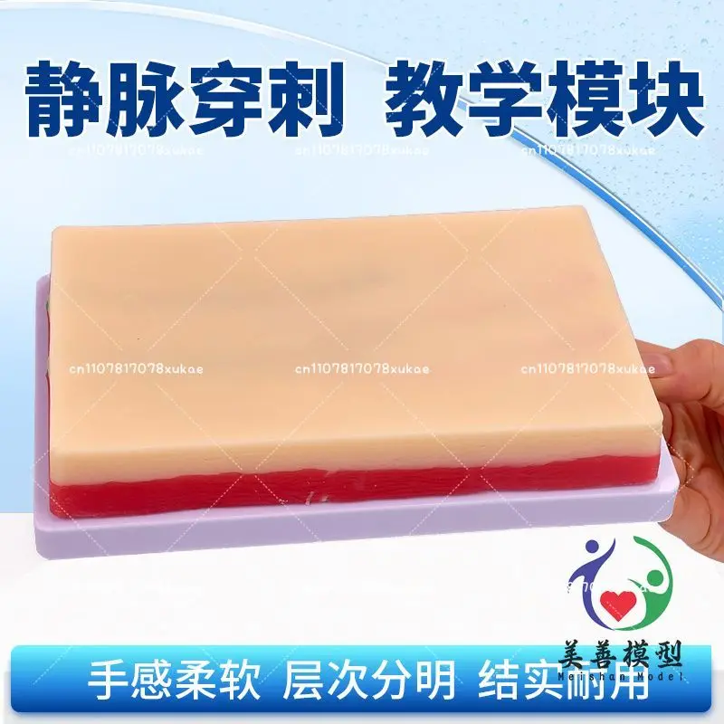Human Simulation Skin Injection Training Model, Vein Puncture Module, Subcutaneous Injection Exercise, Forearm Puncture