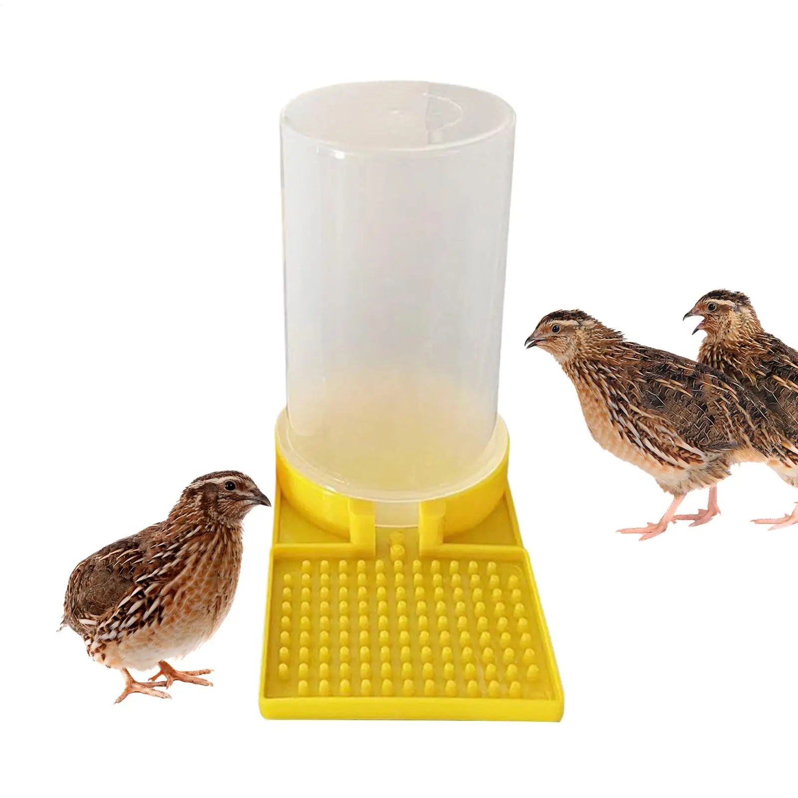 Bebedero para Aves de Corral, Taza de Agua a Prueba de Fugas, Gran Capacidad, Transparente, Contenedor de Alimentación para Pollitos, Codornices y Abejas
