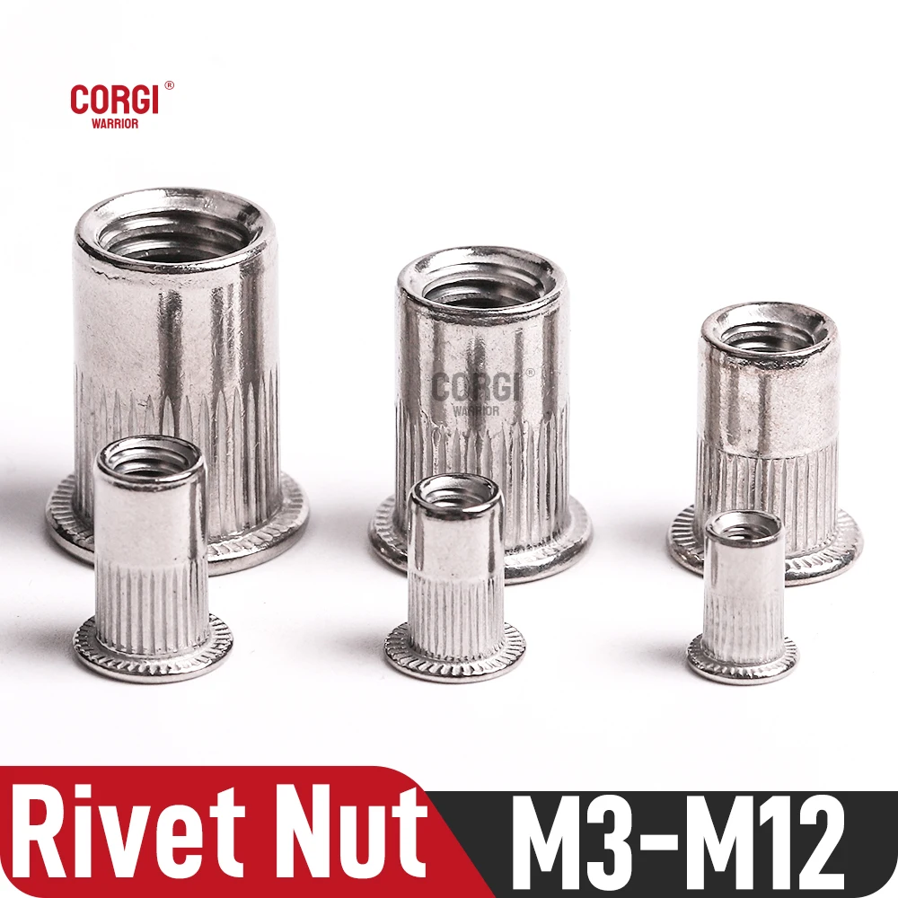 

Metric UNC Flat Head Rivet Nut M3 M4 M5 M6 M8 M10 M12 2-20 Threaded pcs Insert Rivnuts Zinc Plated Carbon/Stainless Steel Rivnut