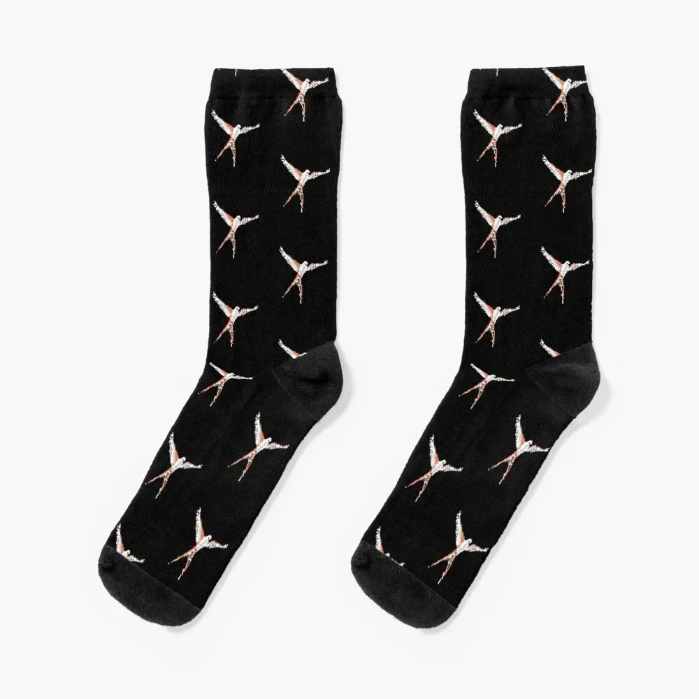 Wingspan Pixel Design - Board Game Inspired Graphic - Tabletop Gaming Socks custom sports winter gifts Luxury Woman Socks Men's