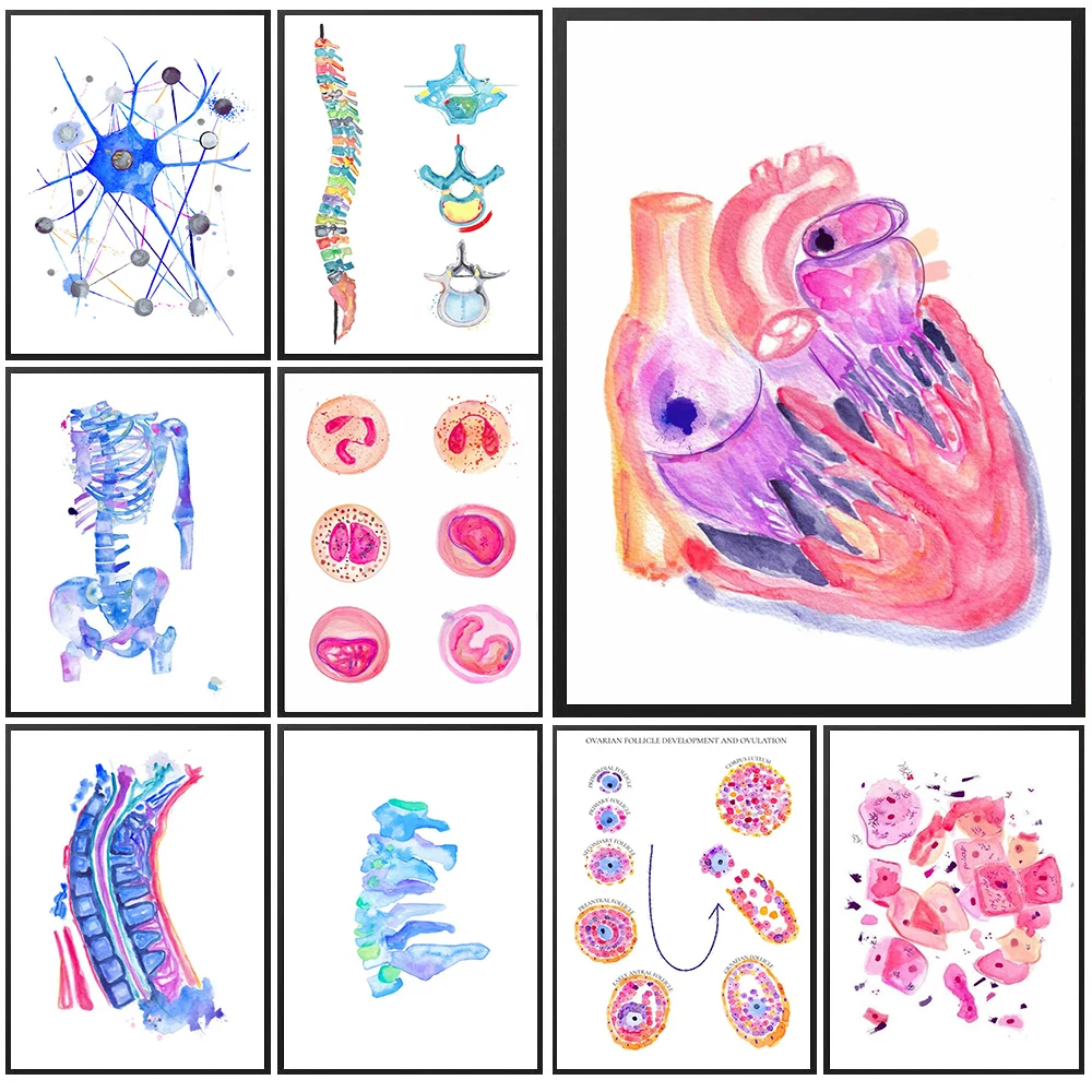 Watercolor Anatomical Canvas Painting,Histology Cell & Human Heart & Eye Wall Art Medical Educational  Clinic & Waiting Poster