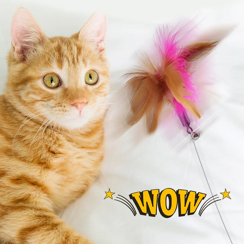 

Cat Collar Interactive Toy Feather Teasing Cat Stick With Bell Cats Collar Toys Kitten Training Playing Teaser Wand Pet Supplies