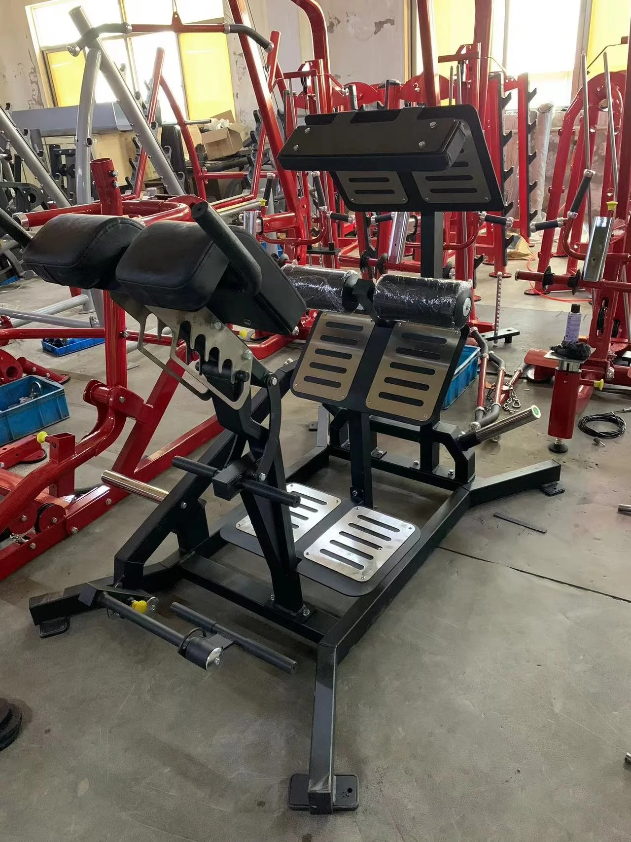 Latest Fitness Dual 45  Extension for Gym Exercise