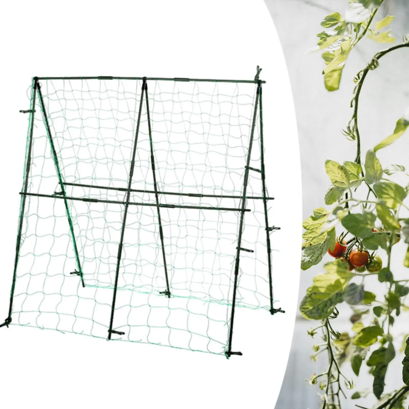 40cmx11mm  Garden Plant Trellis with Climbing Net  set , Sturdy Cucumber Tomato Grape Vine Support Frame  H0983VV