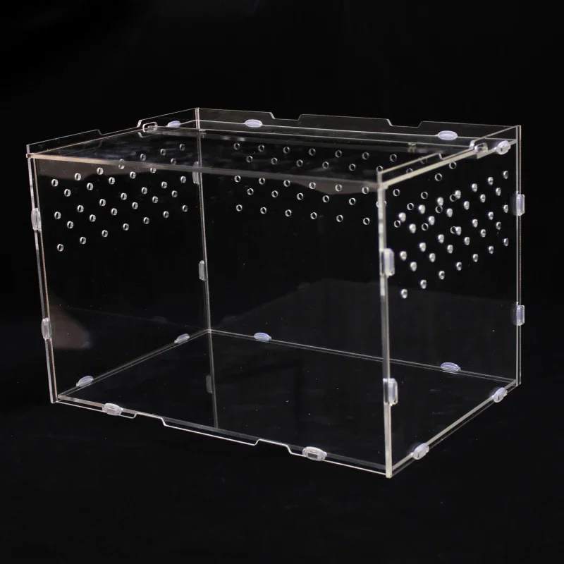 Custom 3 Shelves Table Top Acrylic Snake Gecko Reptile Display Cases With Lock Stand Reptile Expo Display For Reptile Show