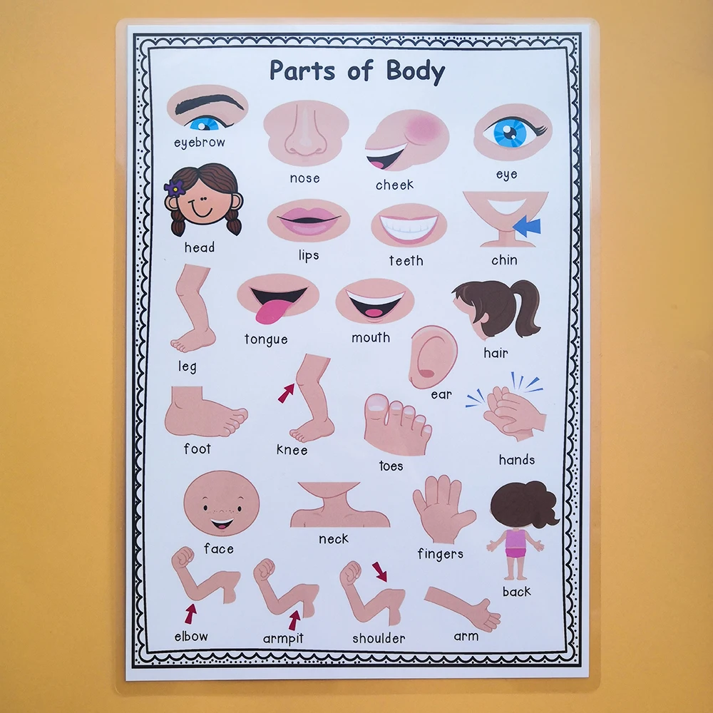 A4 Body Parts Poster Homeschool Supplies Educational Poster for Kids Preschool Classroom Decoration Montessori Toys Flashcards