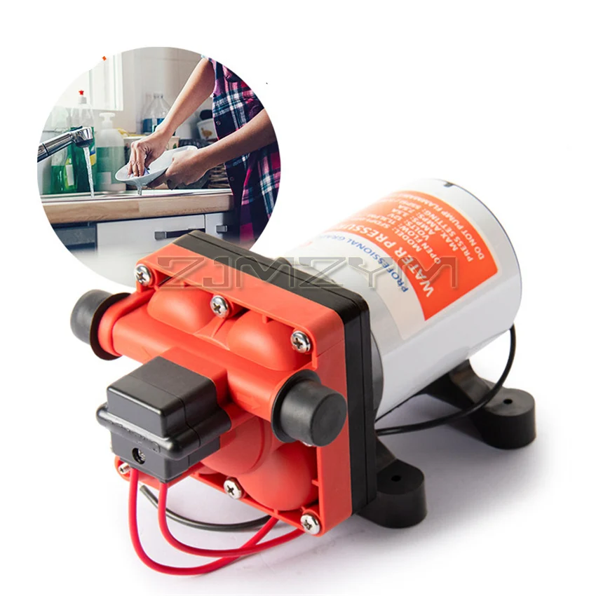 42 Series RV Water Pump Self E - Mini Peristaltic Pump 12V review and price