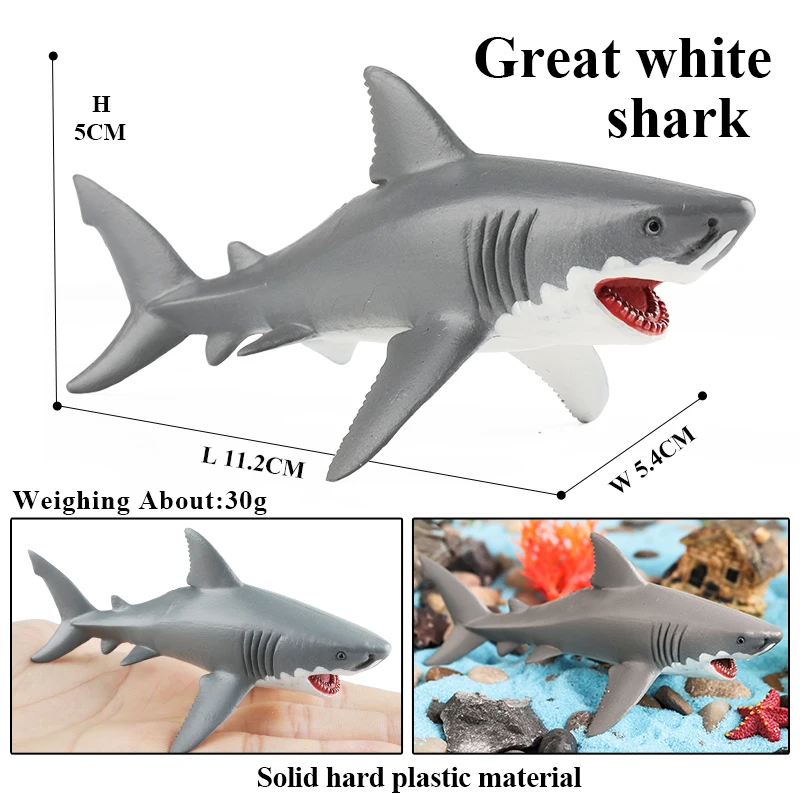 Oenux Sea Life Model Great White Shark Helicoprion Megalodon Whale