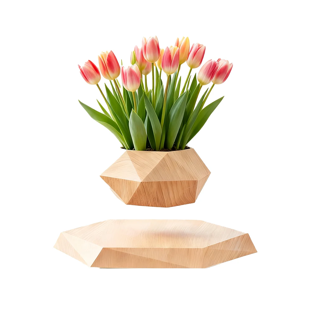 

Suspended planter, EU Plug Modern Geometric Magnetic Levitating Flower Pot ,Creative Tech Gifts for Christmas Birthday business