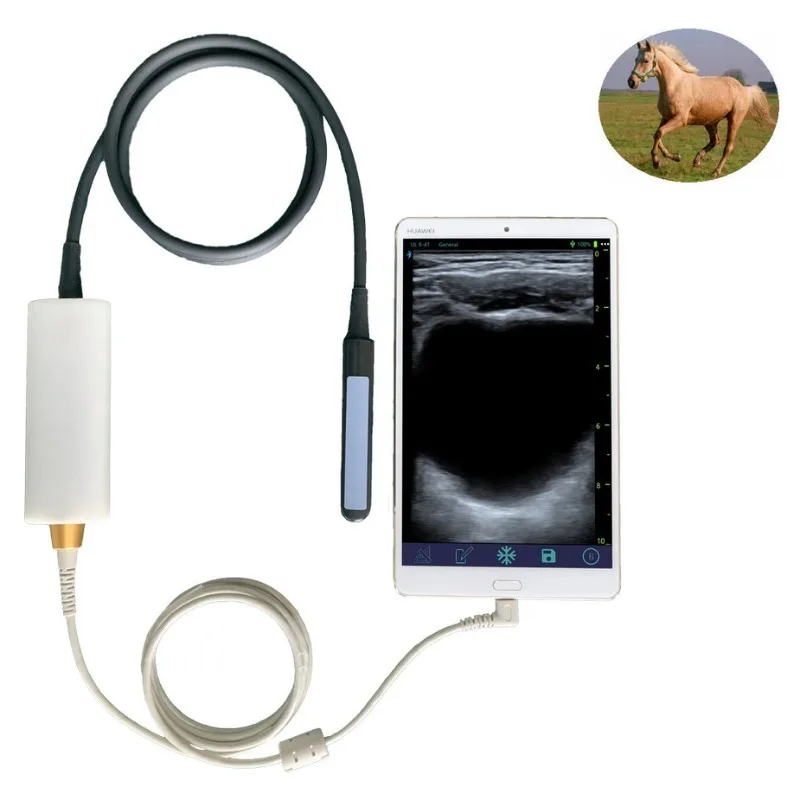 

USB Rectal Horse Cattle Cow Bovine Equine Pregnancy test Ultrasound Machine for Veterinary Use Animal Care and Supplies