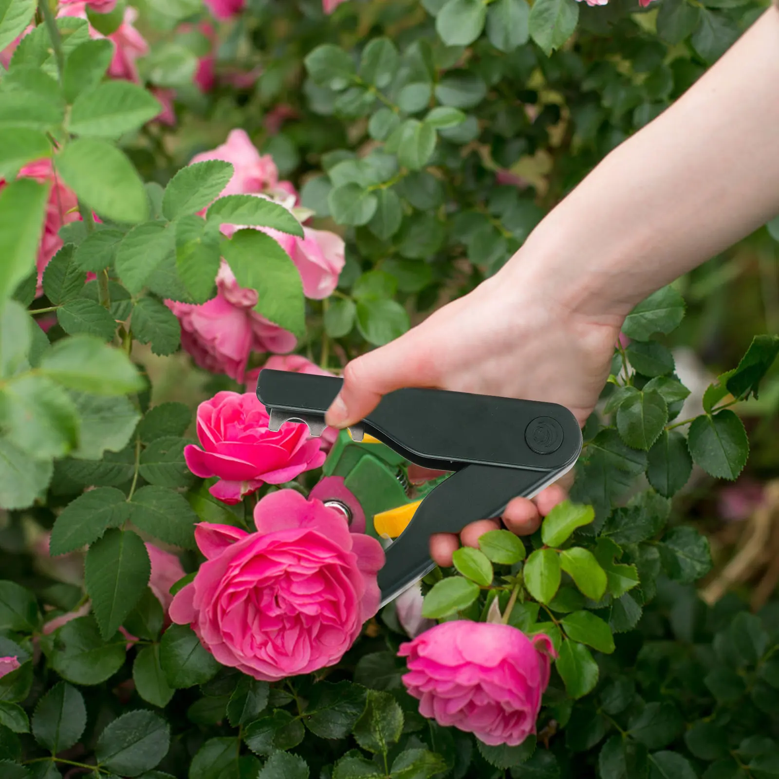 

1Pcs Rose Thorn Remover Stainless Steel Garden Tool Thorn Leaf Removal Durable Lightweight Practical