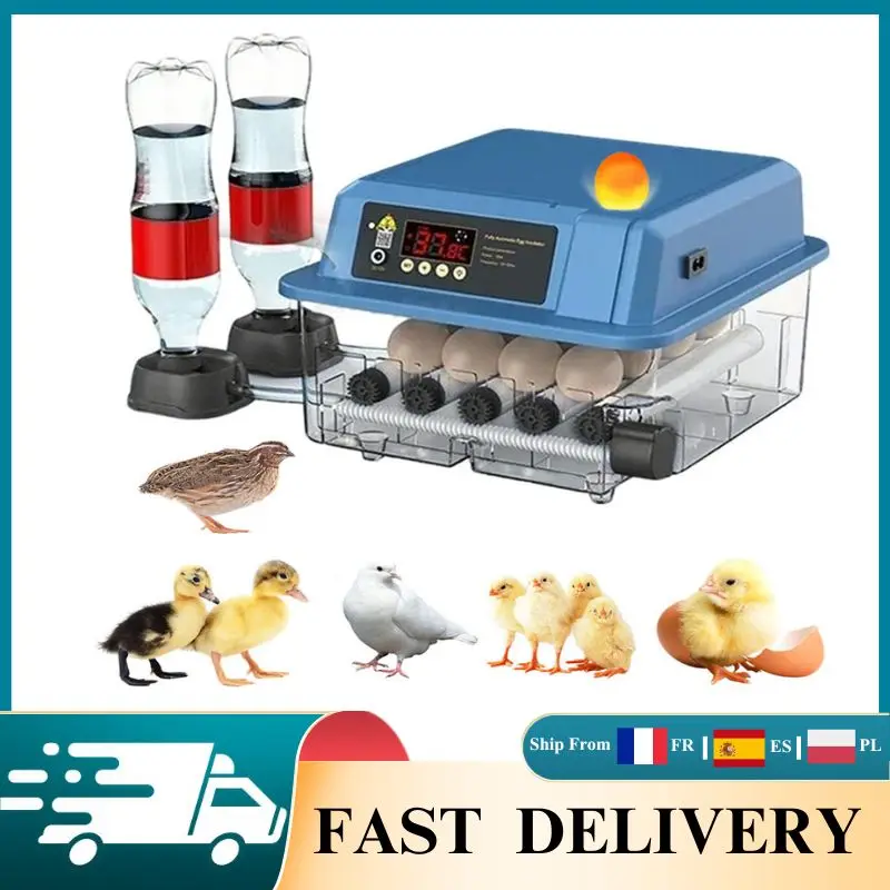 Incubateur d'œufs 12-24 places 220V avec remplissage automatique d'eau et lampe de visualisation, couveuse domestique pour volailles (poulets, canards, cailles)