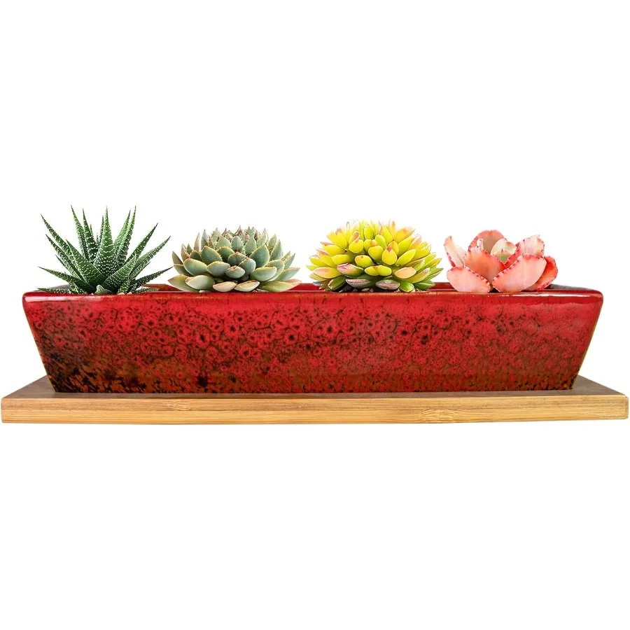 

Succulent Pots 9.8 Inch Ceramic Succulent Planters with Drainage Small Bonsai Pot with Bamboo Tray Mini Cactus Flower Planter P