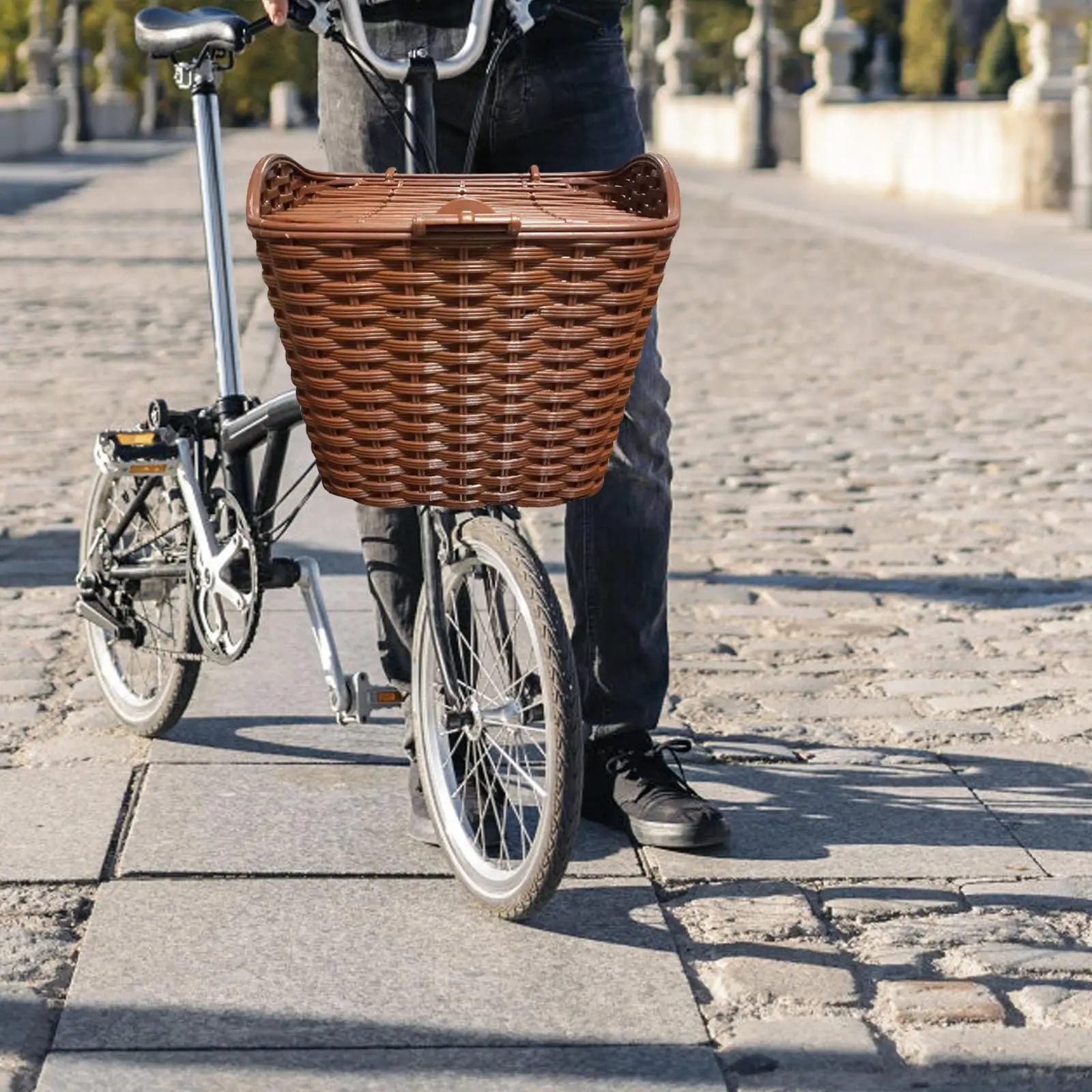 Bike Basket with Lid Bicycle Front Handlebar Basket for Balance Bike Travel